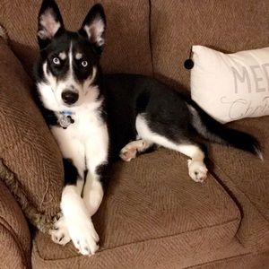 Meet your Posher, Kristan